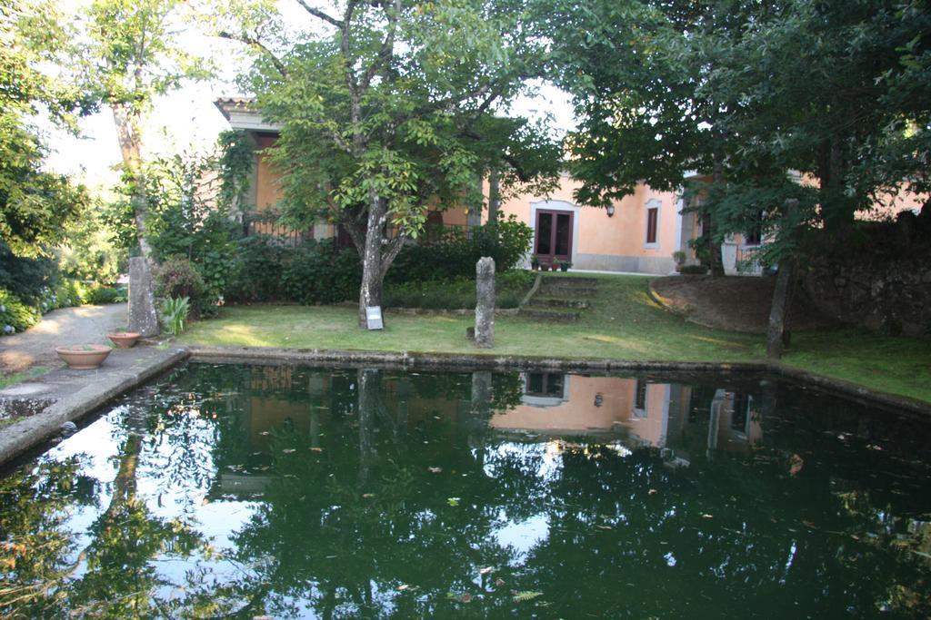 Quinta Dos Castanheiros Bed And Breakfast Ponte de Lima Ngoại thất bức ảnh