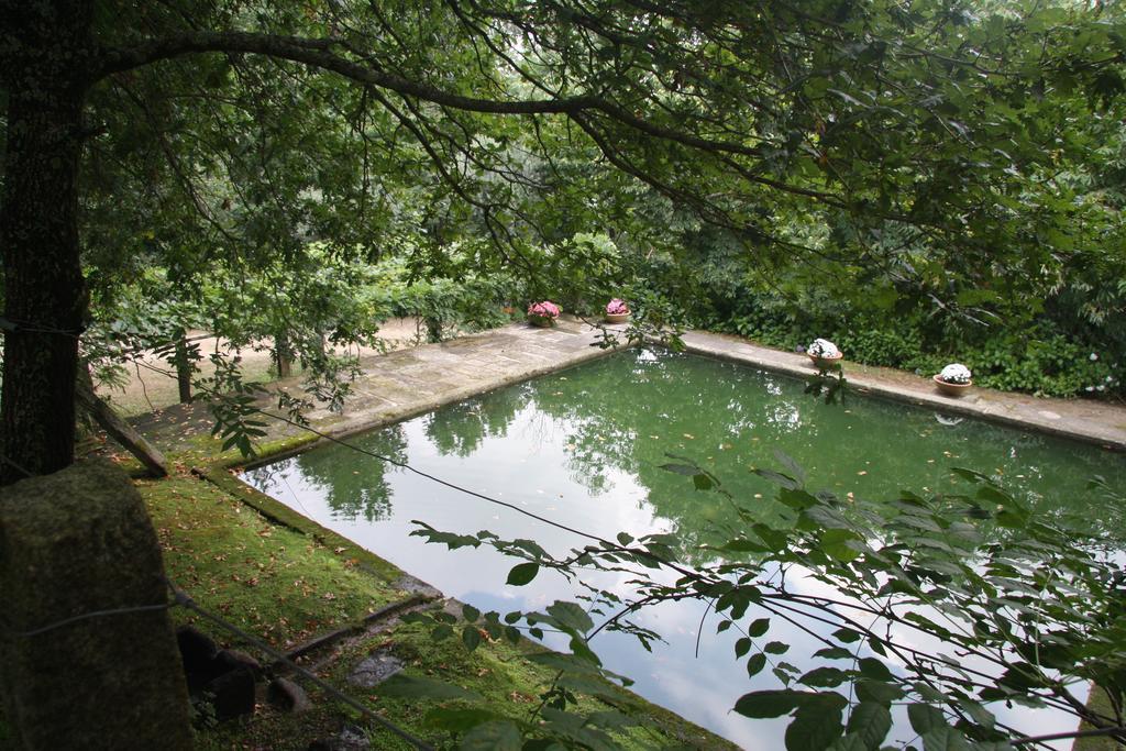 Quinta Dos Castanheiros Bed And Breakfast Ponte de Lima Ngoại thất bức ảnh